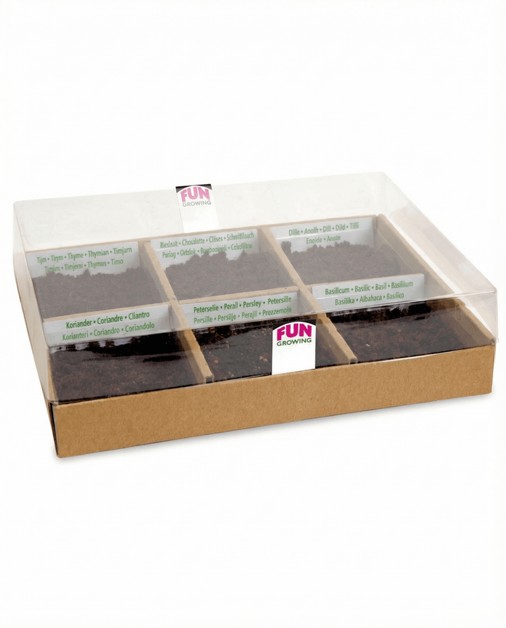 Culinary With 6 Varieties Starter Set zaden – kweekset