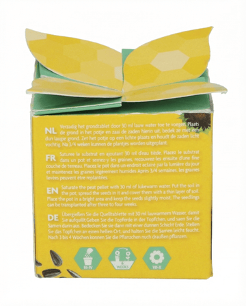 Dwarf Sunflower Gift zaden – eenjarige kweekkit van SeedsChoice