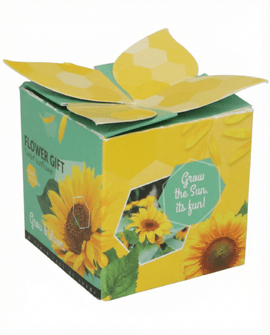 Dwergzonnebloem zaden Helianthus Annuus eenjarige bloem kweekcadeauset