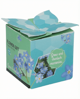 Vergeet-mij-nietje zaden Myosotis Alpestris tweejarig kweekset terracotta pot 0.1g