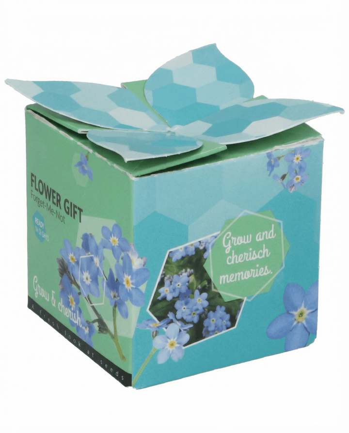 Vergeet-mij-niet Terracotta Pot 0.1g zaden (Myosotis alpestris) – tweejarige kweekset
