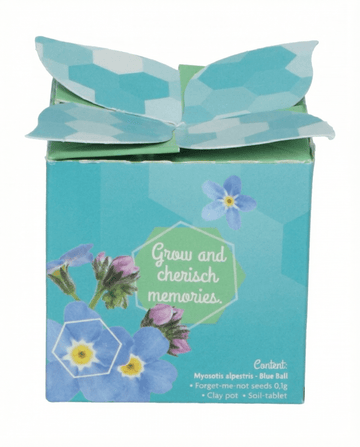 Vergeet-mij-niet Terracotta Pot 0.1g (Myosotis alpestris) – tweejarige kweekset zaden van SeedsChoice