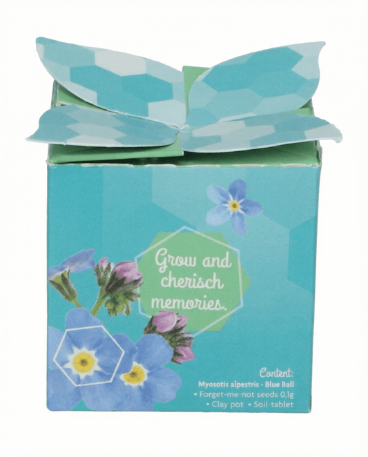 Vergeet-mij-niet Terracotta Pot 0.1g (Myosotis alpestris) – tweejarige kweekset zaden van SeedsChoice