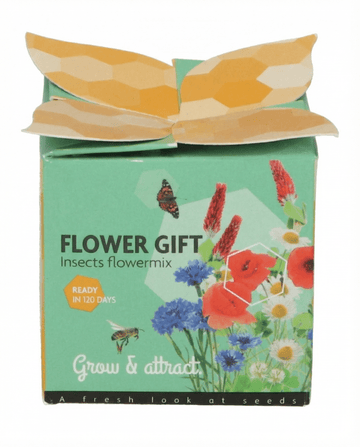 Insectenmix Terracotta Pot Cadeauset – kweekset zaden van SeedsChoice