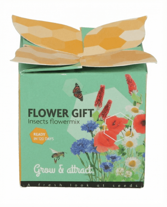 Insectenmix Terracotta Pot Cadeauset – kweekset zaden van SeedsChoice