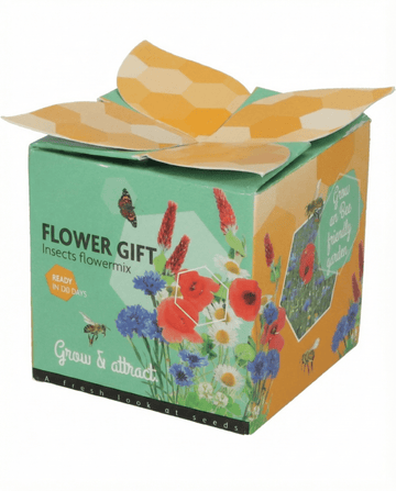 Insectenmix Terracotta Pot Cadeauset – kweekset van SeedsChoice