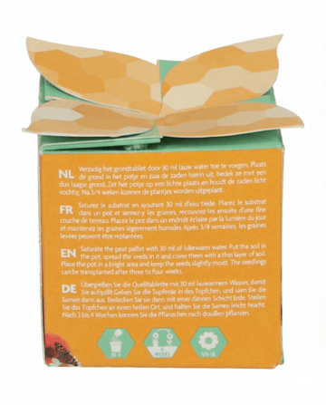 Insectenmix Terracotta Pot Cadeauset zaden – kweekset van SeedsChoice