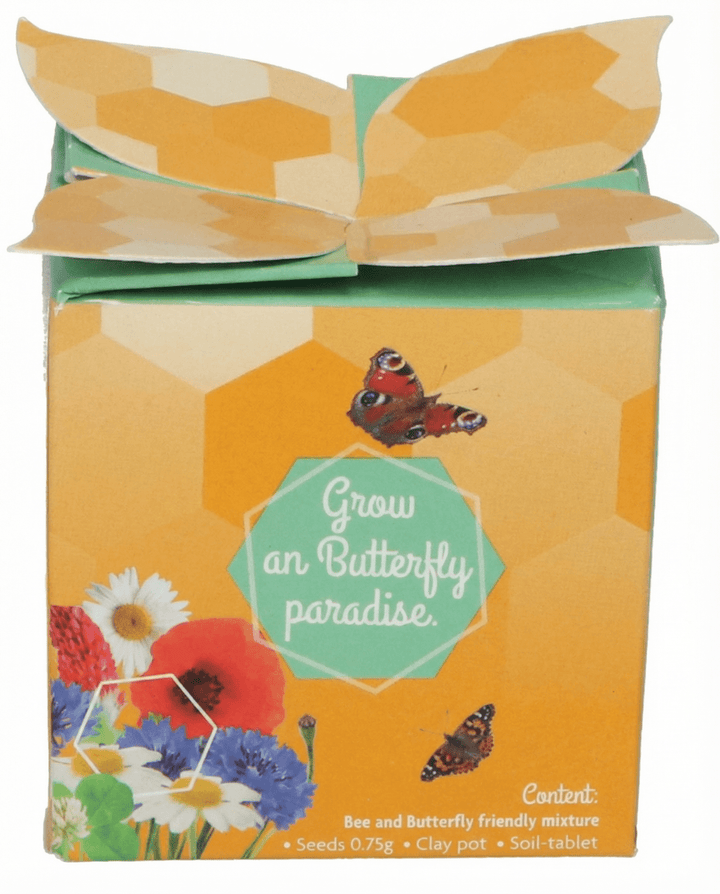 Insectenmix Terracotta Pot Cadeauset zaden – kweekset