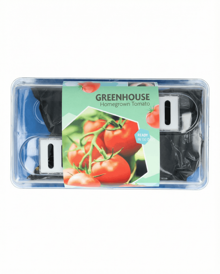 Tomaat Maja Greenhouse Patio zaden (Solanum lycopersicum) – kweekset