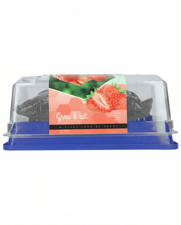 Aardbei Grandian F1 Greenhouse zaden (Fragaria × ananassa) – meerjarige kweekkit