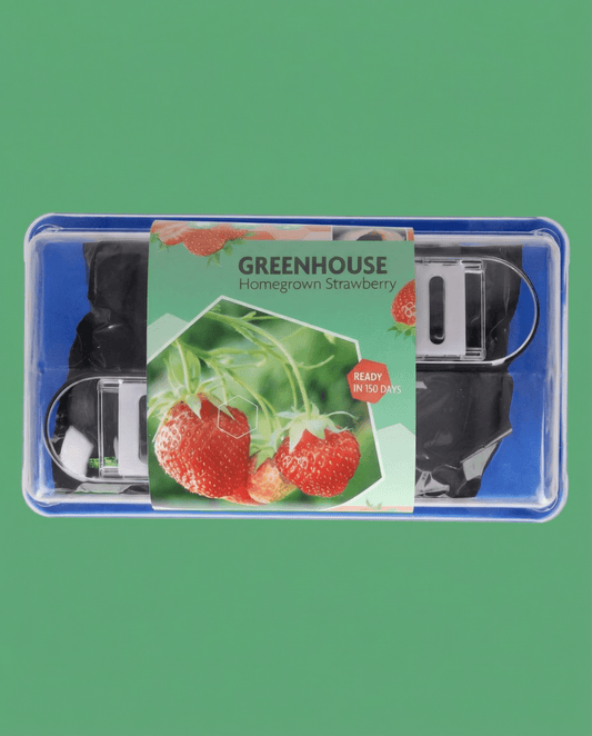 Aardbei Grandian F1 Greenhouse (Fragaria × ananassa) – meerjarige kweekkit zaden van SeedsChoice