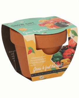 Habaneropeperzaden Capsicum Chinense terracottapot-kweekset