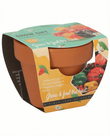 Habanero Pepper Terracotta Pot zaden (Capsicum chinense) – kweekset