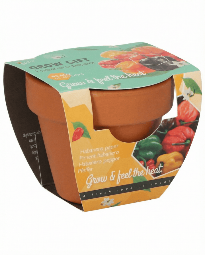 Habanero Pepper Terracotta Pot zaden (Capsicum chinense) – kweekset