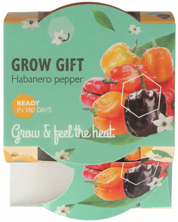 Habanero Pepper Terracotta Pot zaden – kweekset van SeedsChoice