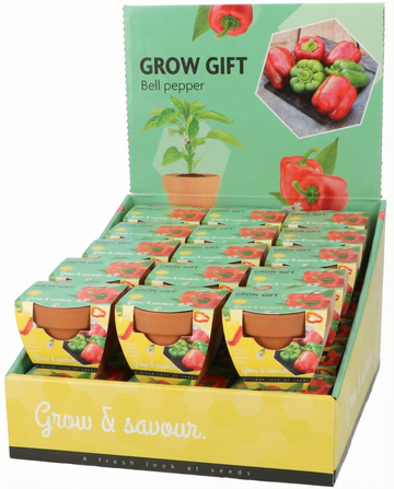 Paprika Terracotta Pot (Capsicum annuum) – kweekset zaden van SeedsChoice