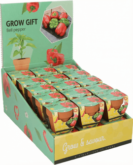 Blokpaprikazaden Capsicum Annuum groente-kweekset terracottapot