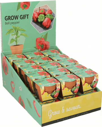 Paprika Terracotta Pot zaden (Capsicum annuum) – kweekset