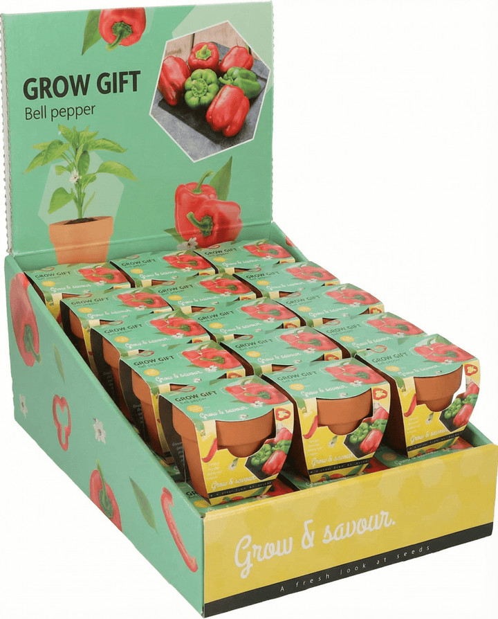 Paprika Terracotta Pot zaden (Capsicum annuum) – kweekset