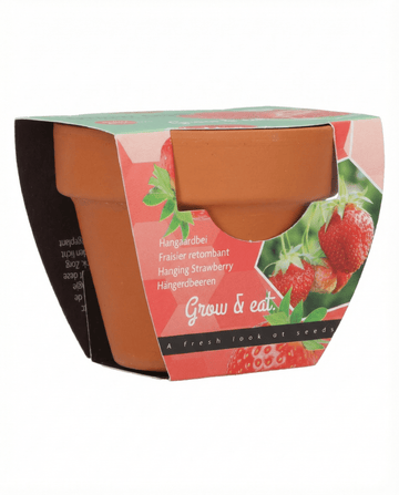 Hangaardbei (Fragaria × ananassa) – meerjarige zaden van SeedsChoice