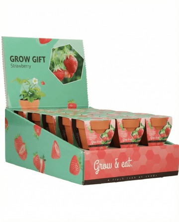 Fragaria × ananassa – Hangaardbei uit zaad gekweekt