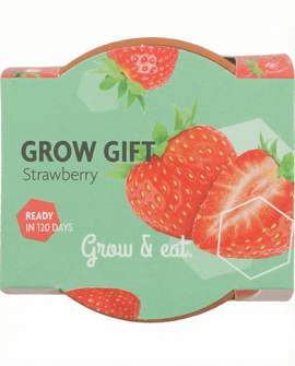 Hangaardbei zaden Fragaria Ananassa vaste plant