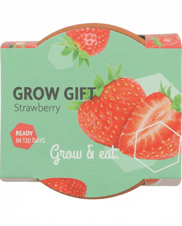 Hangaardbei zaden (Fragaria × ananassa) – meerjarig