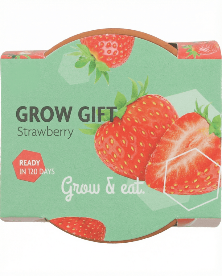 Hangaardbei zaden (Fragaria × ananassa) – meerjarig
