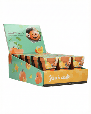 Halloween Pompoen zaden – kweekset van SeedsChoice