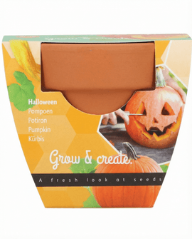 Halloweenpompoenzaden Cucurbita Pepo groente-kweekset