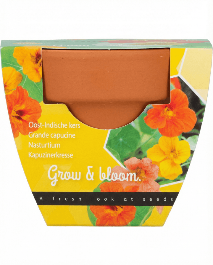 Nasturtium zaden (Tropaeolum majus) – eenjarig groeikit