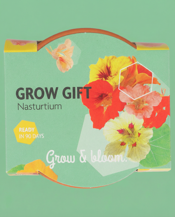 Nasturtium zaden – eenjarig groeikit van SeedsChoice