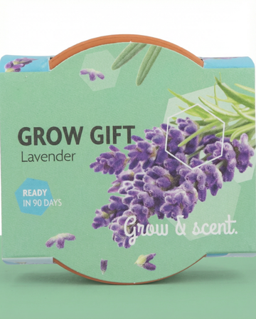 Lavendelzaden – meerjarig kweekpakket van SeedsChoice