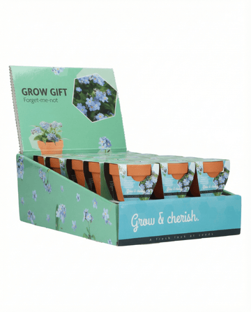 Vergeet-mij-niet (Myosotis alpestris) – kweekset zaden van SeedsChoice