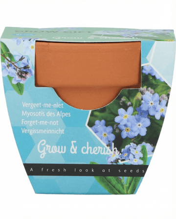 Vergeet-mij-niet zaden (Myosotis alpestris) – kweekset