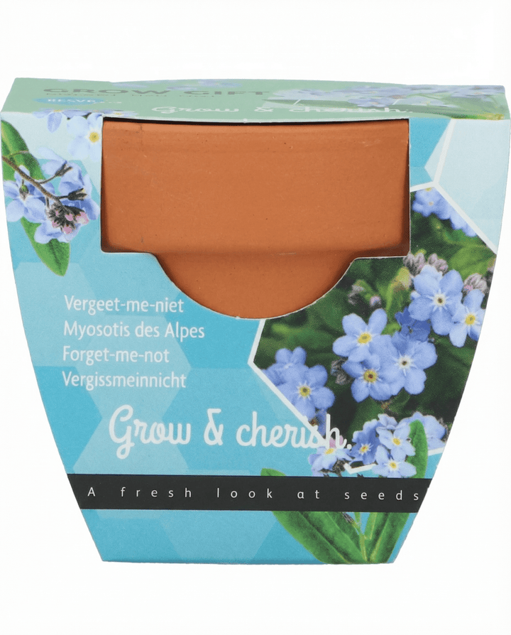 Vergeet-mij-niet zaden (Myosotis alpestris) – kweekset