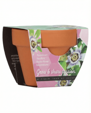 Passiflora Passion Gift Terracotta Pot 30 Pack – kweekset van SeedsChoice