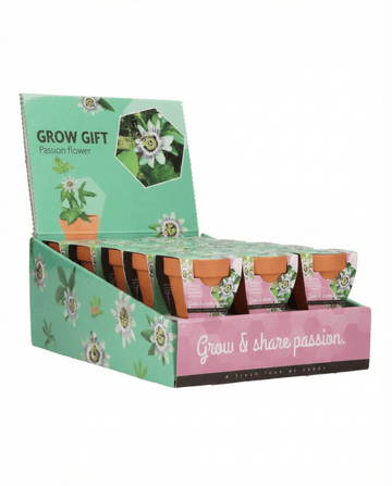 Passiflora Passion Gift Terracotta Pot 30 Pack zaden – kweekset