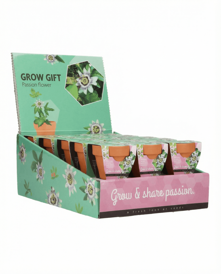 Passiflora Passion Gift Terracotta Pot 30 Pack zaden – kweekset