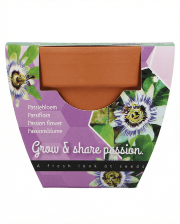 Passiflora Passion Gift Terracotta Pot 30 Pack zaden – kweekset van SeedsChoice