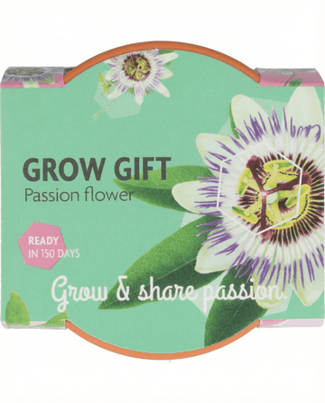 Passiflora Passion Gift Terracotta Pot 30 Pack – kweekset zaden van SeedsChoice