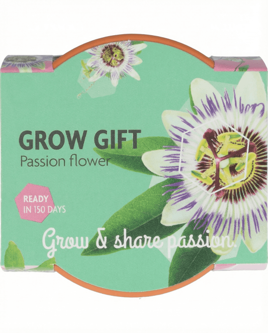 Passiflora Passion Gift Terracotta Pot 30 Pack – kweekset zaden van SeedsChoice
