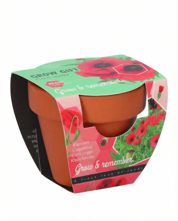 Klaproos Terracotta Pot zaden – eenjarig kweekpakket van SeedsChoice