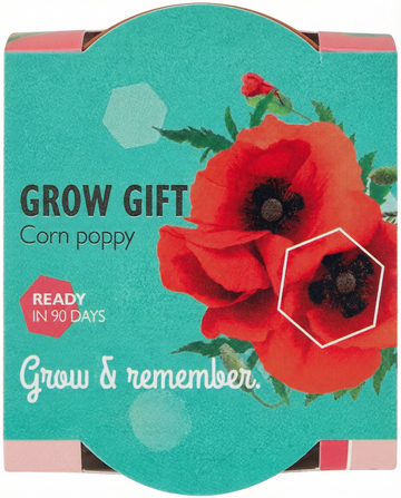 Klaproos Terracotta Pot zaden (Papaver rhoeas) – eenjarig kweekpakket