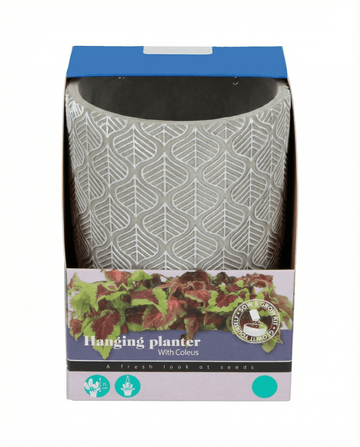 Hangmand Bont Brandnetel zaden (Coleus blumei) – kweekset