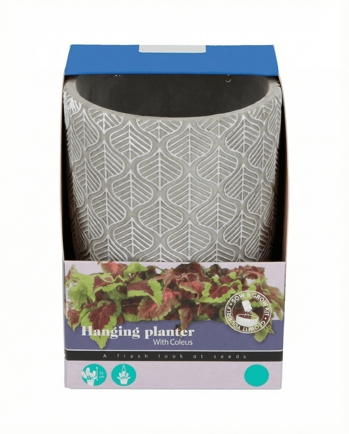 Hangmand Bont Brandnetel zaden (Coleus blumei) – kweekset