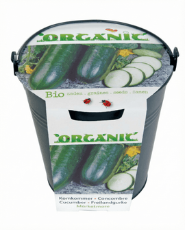 Komkommerzaden biologisch Cucumis Sativus Marketmore-variëteit
