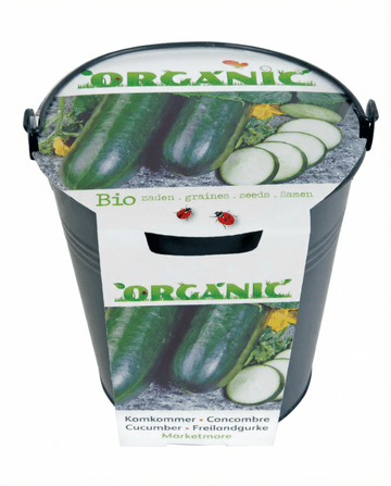 Komkommer Marketmore zaden (Cucumis sativus) – biologische groente