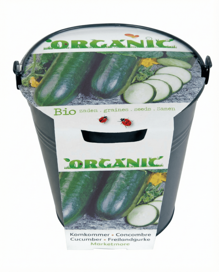 Komkommer Marketmore zaden (Cucumis sativus) – biologische groente