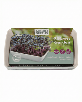 Daikonradijszaden Raphanus Sativus microgroenten binnenset